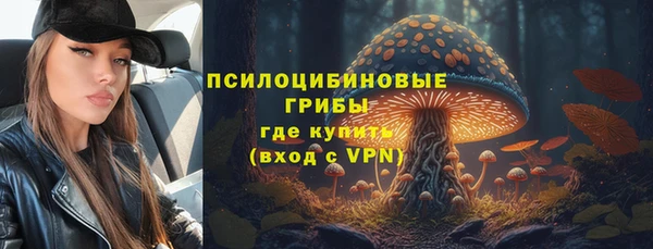 первитин Балахна