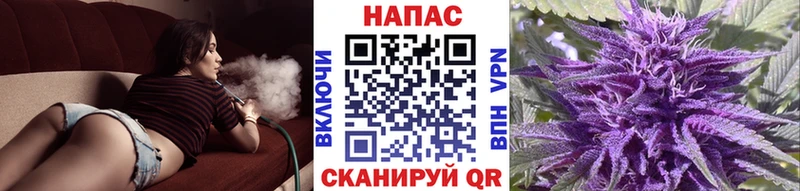 блэк спрут зеркало  Семилуки  МАРИХУАНА VHQ 